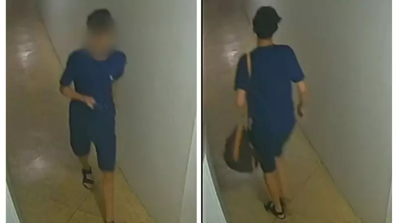Furto Milionário na Zona Sul do Rio: Ladrões Levam Fortuna em Joias e Objetos de Luxo