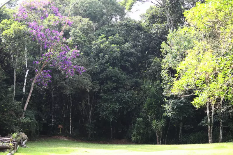 Horto Florestal de São José dos Campos Vai Para as Mãos da Iniciativa Privada: Entenda a Polêmica