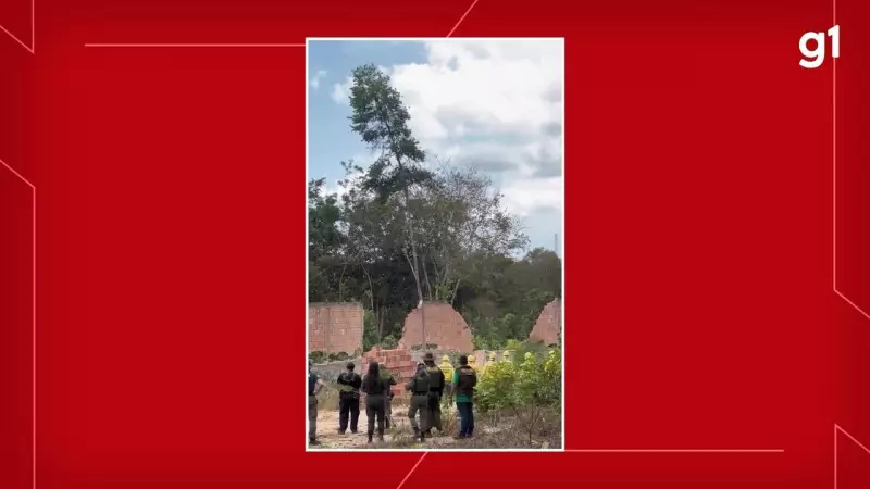 Ibama Derruba Muro em Alter do Chão: Ação Protege Área de Preservação Ambiental em Santarém