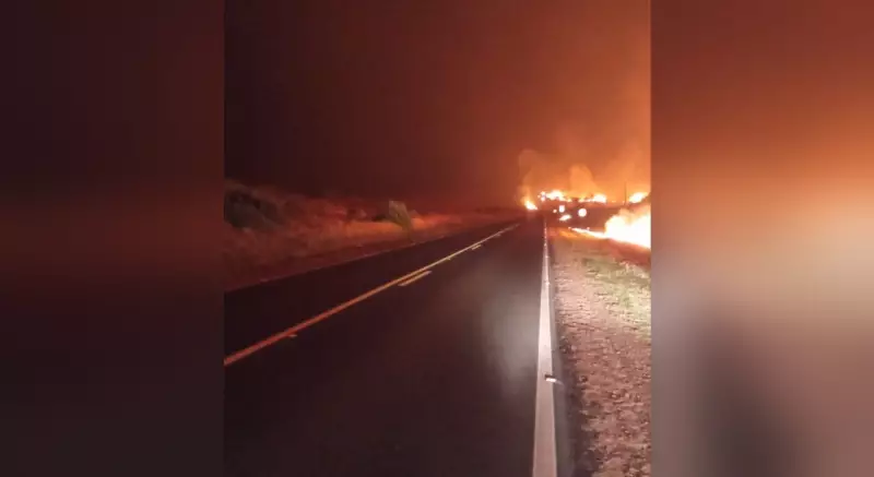 Incêndio de Grandes Proporções Devasta Mata às Margens de Rodovia em Mirante do Paranapanema
