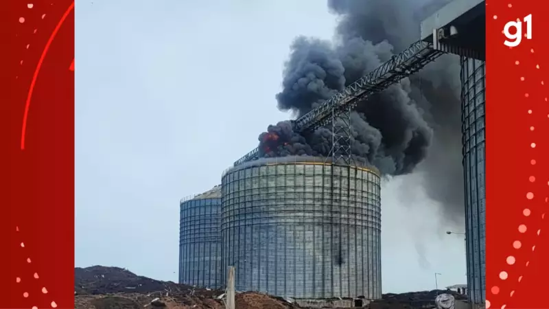Incêndio em Empresa de Grãos no RS Já Passa de 48 Horas e Mobiliza Bombeiros em Esforço Herculano