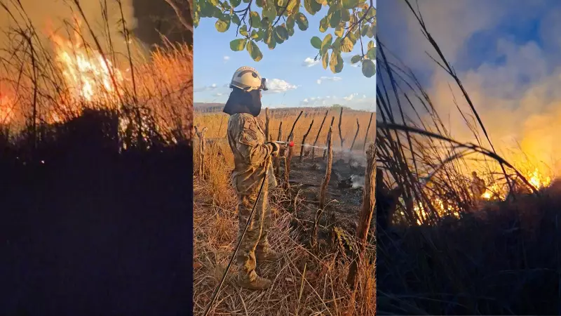 Incêndio Consome Residências no Piauí: Bombeiros Controlam Chamas Após Intenso Combate