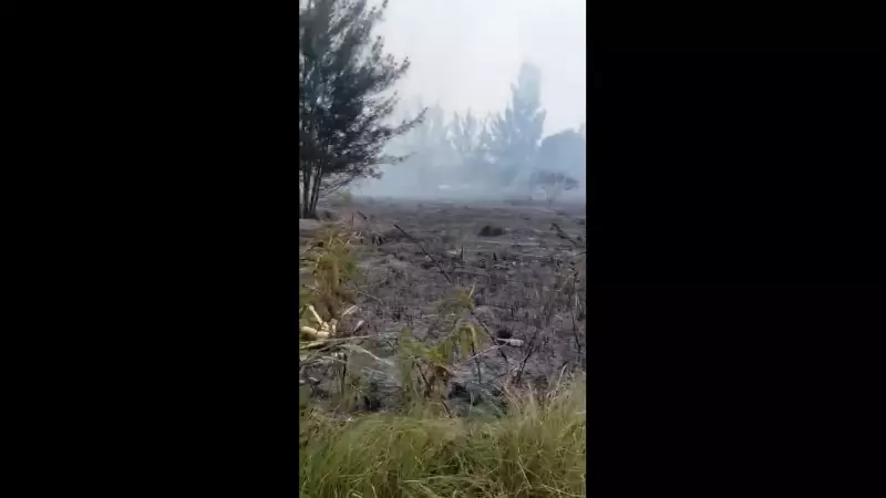 Incêndio de grandes proporções devasta área de vegetação em Araruama: 'É triste, um monte de bicho morto'