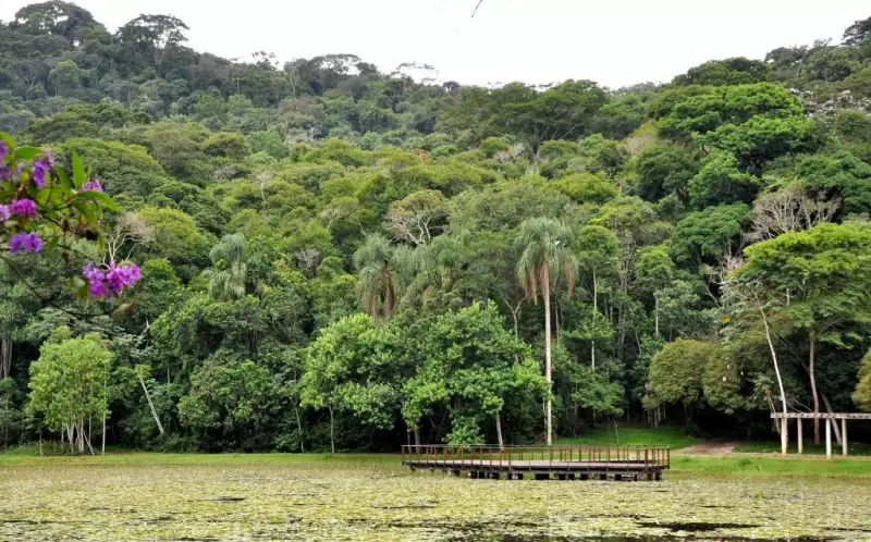 Jardim Botânico de Juiz de Fora: Um Refúgio Verde com Trilhas, Orquidário e Visitas Gratuitas