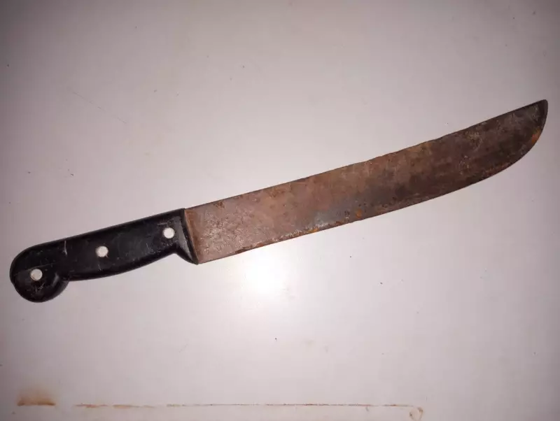 Jovem de 24 anos com 50 registros policiais é preso após roubo e perseguição com faca em Minas Gerais