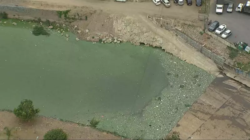 Lagoa Esverdeada: Passeios de barco são suspensos novamente após vídeo viralizar mostrando água verde e turva