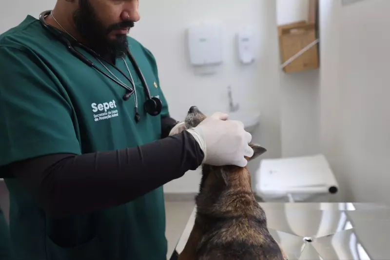 Manaus Ganha o Maior Hospital Veterinário Público da América Latina: Como Será o Atendimento?