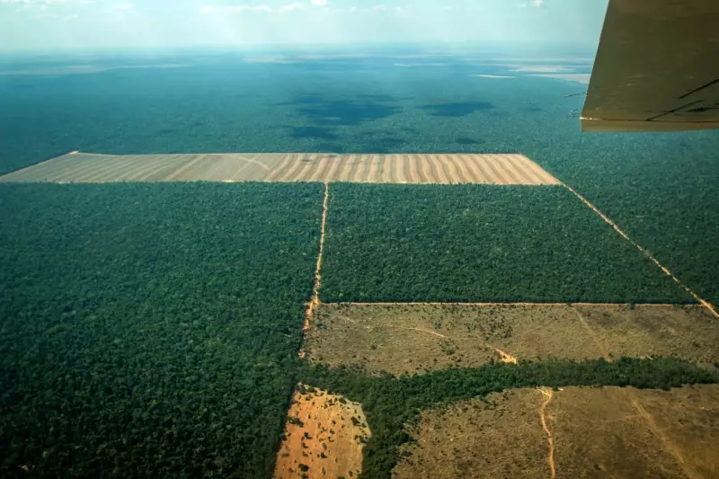 Mato Grosso lidera ranking nacional de violência no campo, revela relatório da CPT