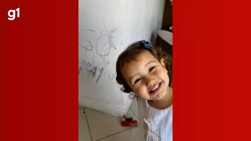 Menina troca lápis por uva e viraliza com 'arte comestível' nas paredes de casa