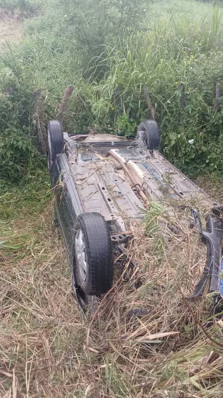 Milagre na BR-104: Criança Encontrada Viva Após Dias ao Lado dos Pais Falecidos em Acidente