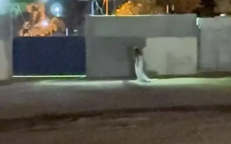 Mistério em Goiás: 'Noiva do Cemitério' viraliza e intriga a web; especialistas analisam fenômeno