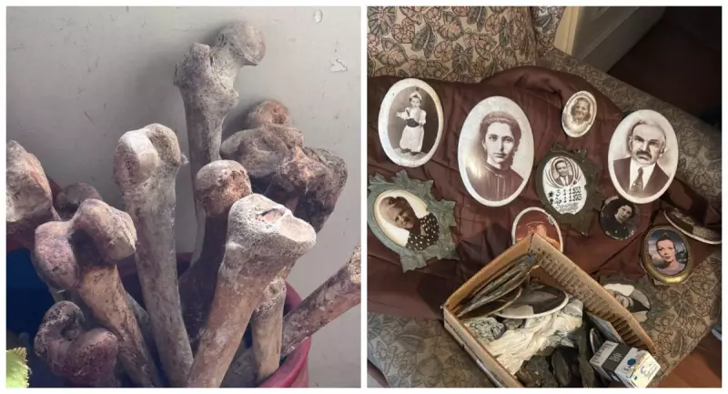 Mistério em Jardins: Crânios e Ossos Humanos Encontrados em Apartamento de Luxo em SP