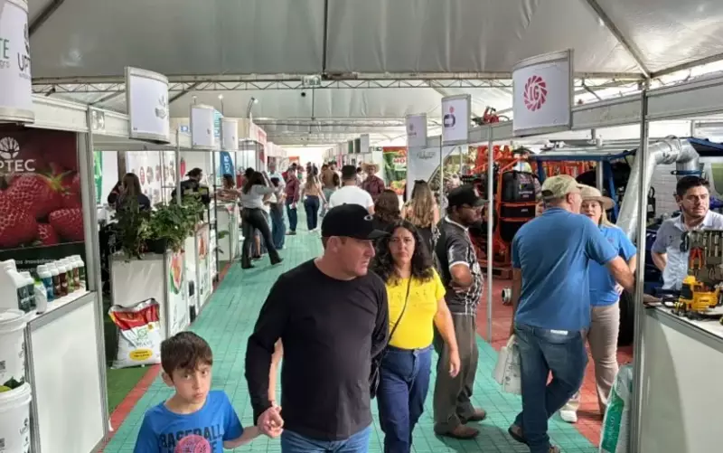 Morango Agrotech em Bom Repouso: Festival atrai milhares com tecnologia e sabor