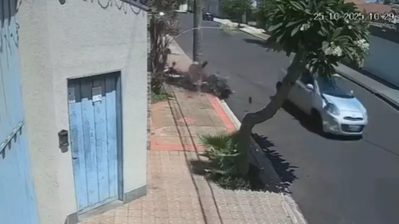 Motociclista é arremessado como um boneco após briga no trânsito em SP; veja o vídeo chocante