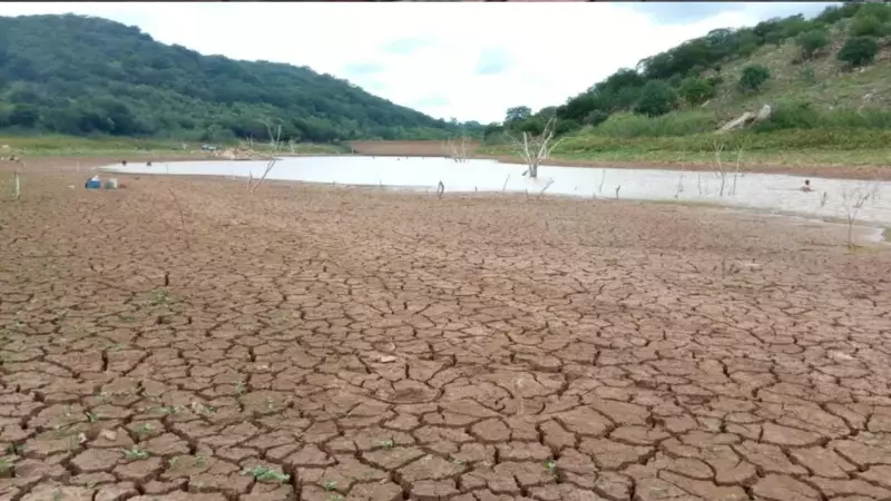 Nordeste em Emergência: Seca Extrema Ameaça População e Economia do Piauí