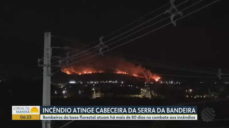 Oeste da Bahia em Chamas: Bombeiros Enfrentam Batalha Contra Incêndios de Grandes Proporções
