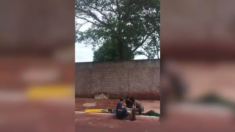 Onça-parda é capturada após mais de 24 horas em quintal de residência no interior de MG