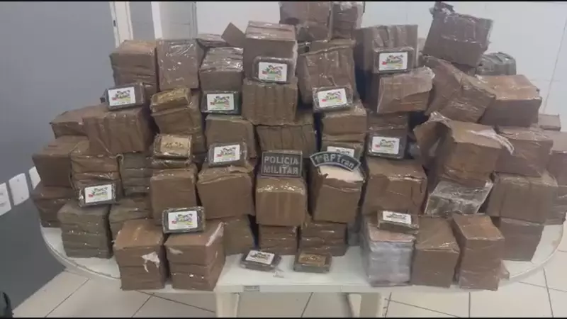 Operação apreende 230 kg de haxixe no Grande Recife: homem é preso com carga milionária
