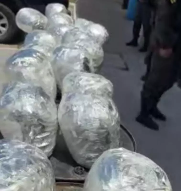 Operação em Aracaju: Homem é detido com 19 tabletes de maconha escondidos em mochila