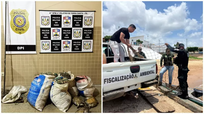 Operação em Terra Santa prende dupla por crimes ambientais em flagrante