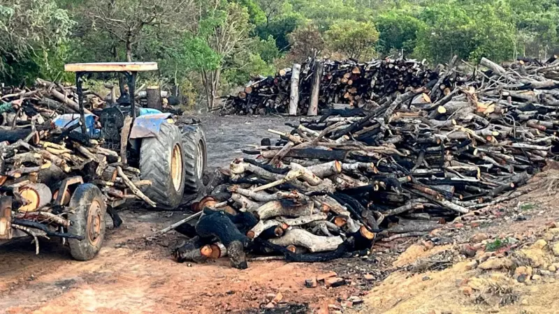 Operação no Vale do Jequitinhonha: 11 presos por crimes ambientais de grande impacto