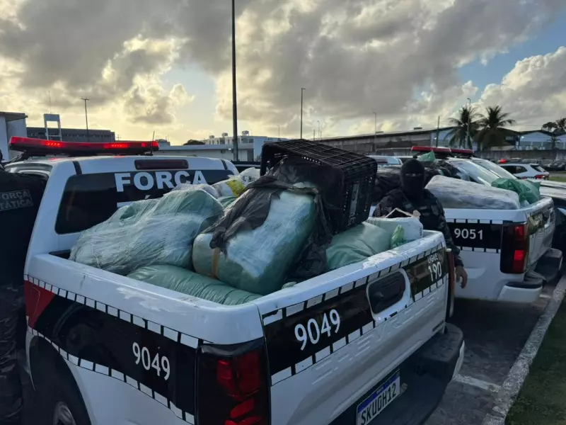 Operação da PM apreende quase meia tonelada de drogas na Grande João Pessoa