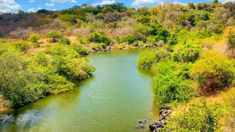 Piauí comemora queda histórica: desmatamento ilegal reduz quase 70% no primeiro semestre