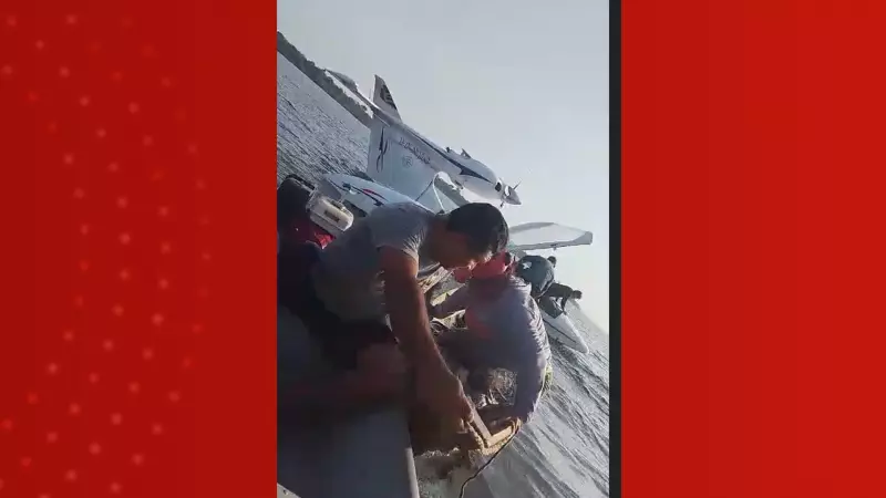 Piloto Envolvido em Tráfico Aéreo Sobrevive a Queda de Avião no Amazonas