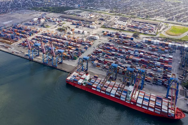 Prejuízo Amargo: Café Brasileiro Perde R$ 59 Milhões em Apenas Um Mês no Porto de Santos
