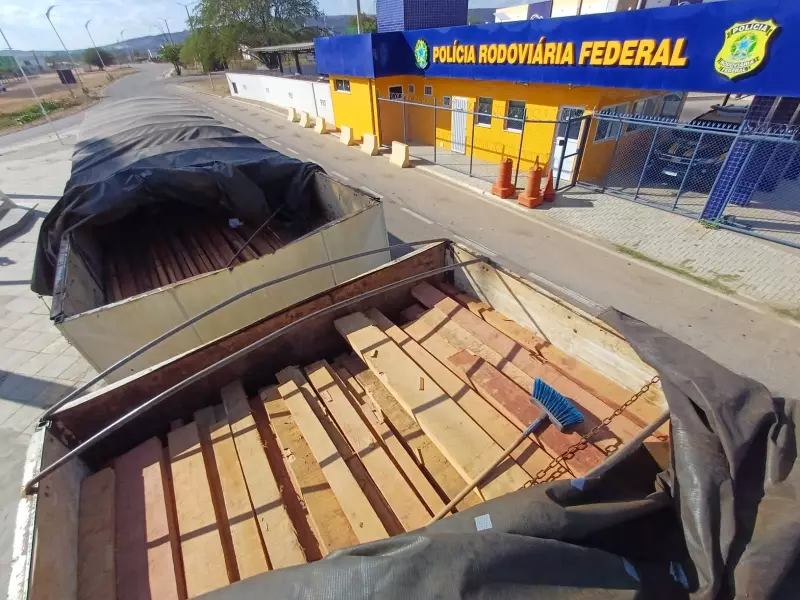 PRF desmantela esquema de desmatamento ilegal no Sertão de Pernambuco e apreende 22 caminhões