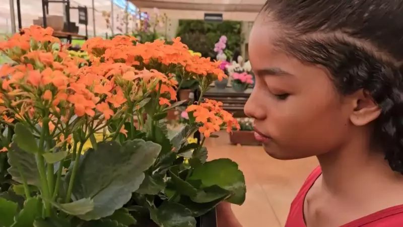 Primavera Encanta Aluna de 11 Anos em Uberlândia: 'Eu Amo o Cheiro das Flores'