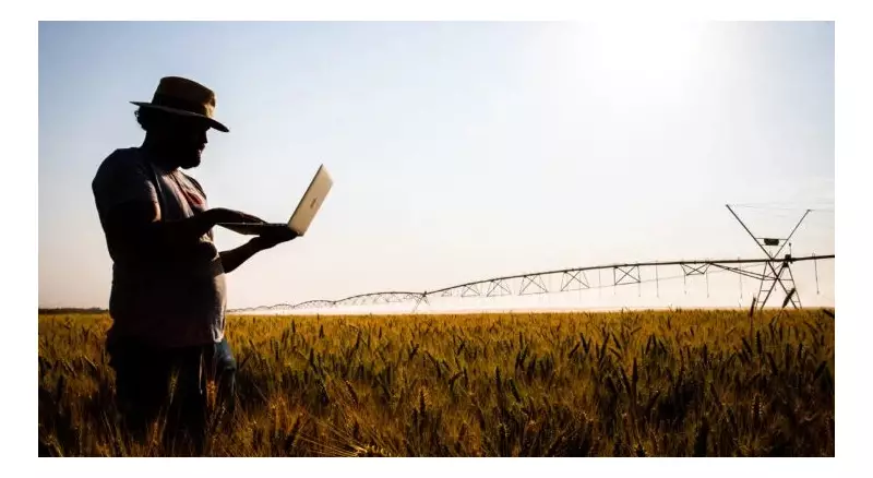 Produtores Rurais do Piauí: Atualize Seu Cadastro e Mantenha o Desconto na Conta de Luz