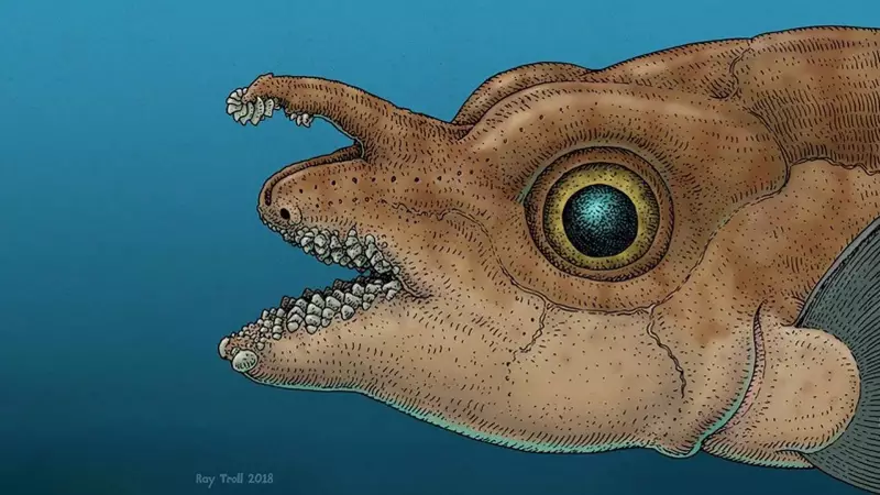 Reino Animal Surpreende: Peixe Usa Dentes na Cabeça Para Acasalamento Forçado