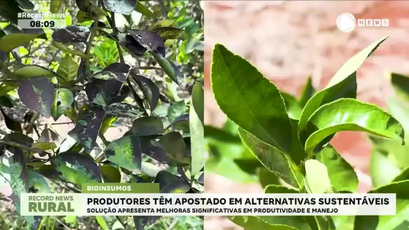 Revolução Verde no Campo: Produtores Adotam Bioinsumos e Economizam Milhões