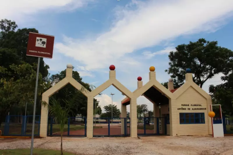 Risco de Queda: Aviação é Interditada para Retirada de Árvores no Horto Florestal de Campo Grande