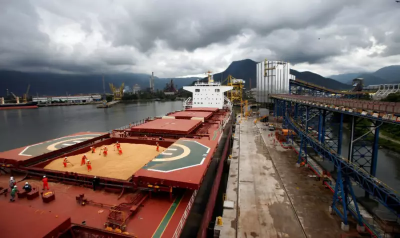 Safra Recorde: Soja e Milho Batem Todos os Recordes em 2025 com Produção Estonteante