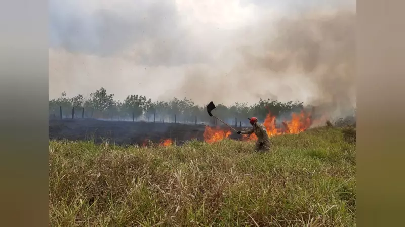 Santarém comemora queda histórica: incêndios caem mais de 50% em 2025