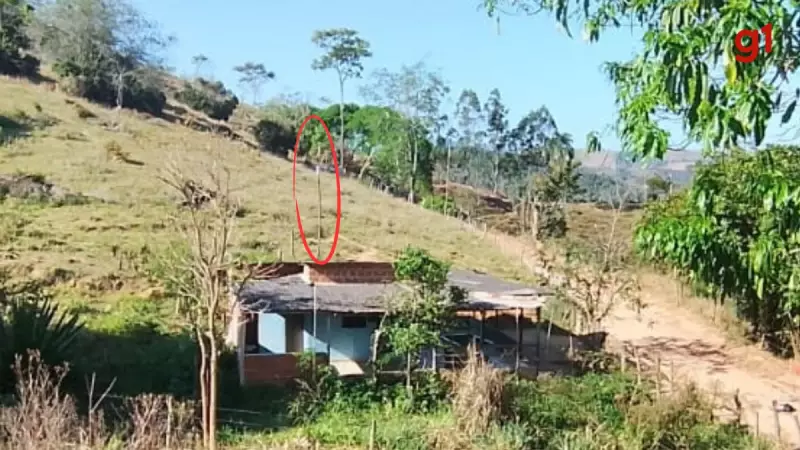 Sinal de Wi-Fi de Bar Invade Presídio em MG e Vira Caso de Polícia: Entenda o Caso