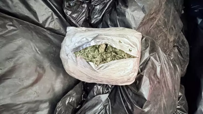 Super-maconha: A explosão da droga ultra-potente que domina o Brasil