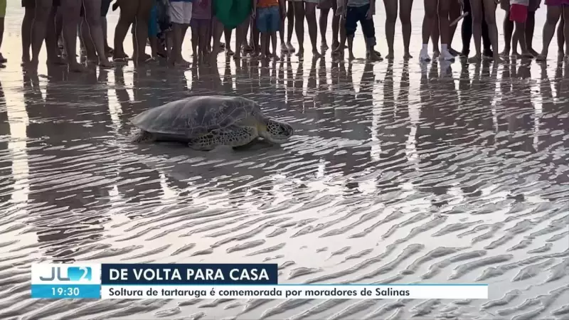Tartaruga Marinha Resgatada de Lago em Salinópolis é Devolvida com Sucesso ao Mar