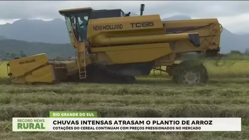 Temporal Castiga Lavouras: Plantio de Arroz em Risco no Sul do Brasil