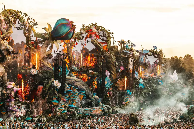 Tomorrowland Brasil 2025: David Guetta, Vintage Culture e Alok comandam a festa no Parque Maeda