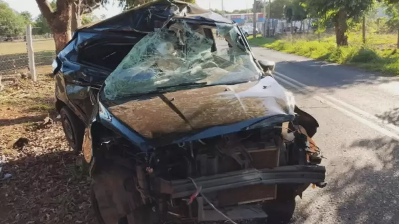 Tragédia no Trânsito: Duas Vidas Perdidas em Colisão Contra Coqueiro em Cardoso