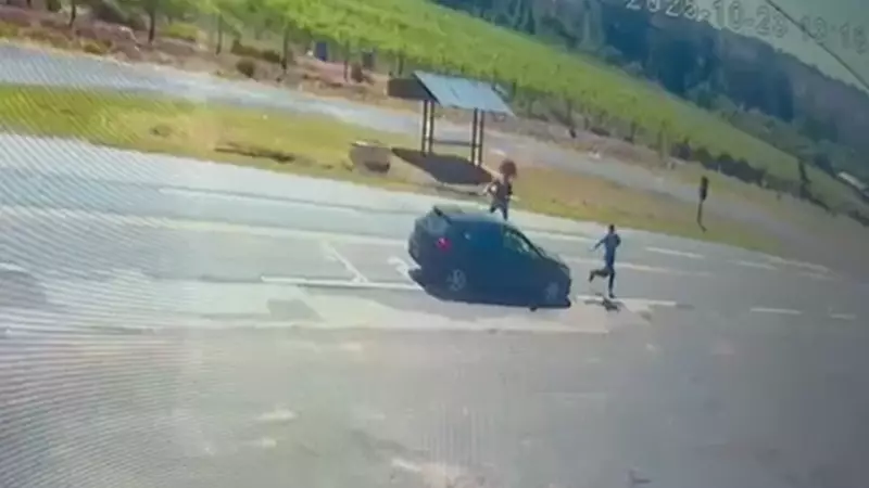 Tragédia no Trânsito: Pedestre Morre ao Ser Arremessado por Carro em Rodovia de Porto Feliz