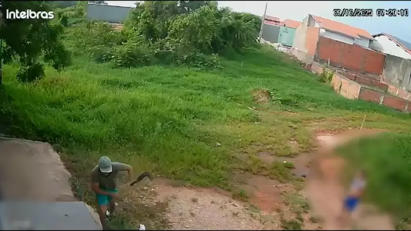 Tragédia Choca Interior do MA: Jovem Morta a Golpes de Foice por Vizinho, Crianças Testemunham Cena Aterradora
