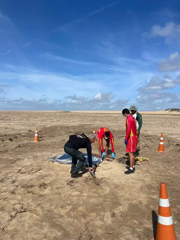 Tragédia em Piçarras: IML Confirma Identidade de Criança Encontrada Sem Vida na Praia
