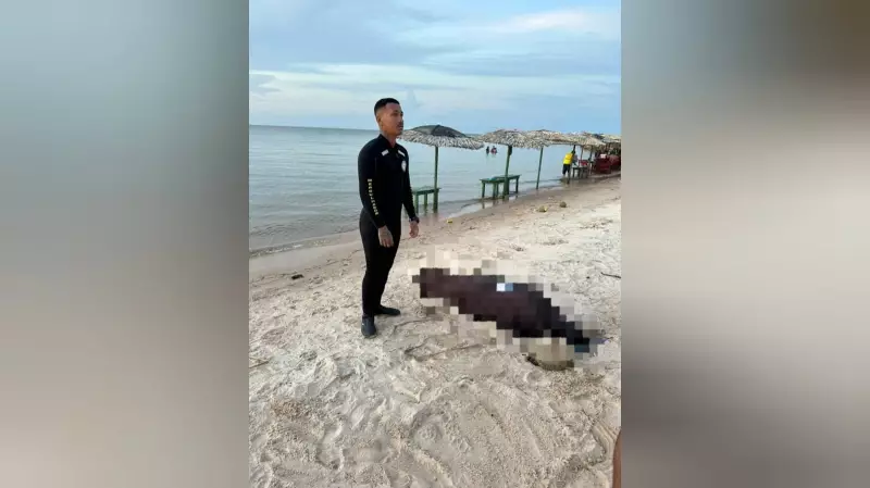 Tragédia nas Águas de Santarém: Adolescente Morre Afogado na Praia de Ponta de Pedras
