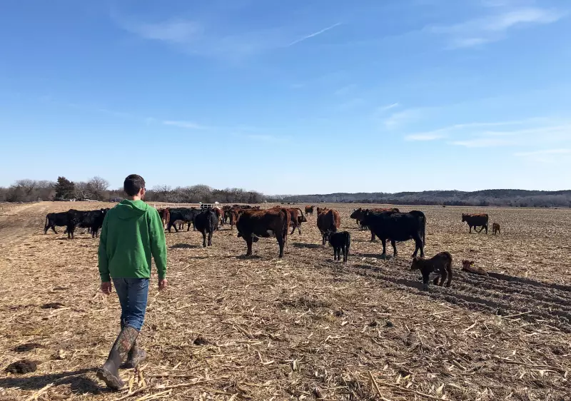 Trump Abre Mercado Americano à Carne Argentina e Gera Revolta nos Produtores Rurais dos EUA