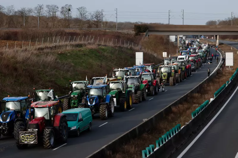 UE Tenta Blindar Agricultura Europeia em Acordo com Mercosul: Veja as Barreiras