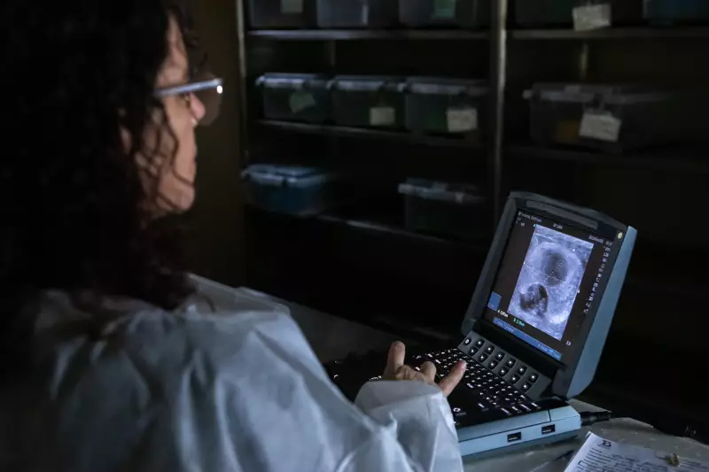 Ultrassom em Serpentes: Como Exames de Imagem Estão Revolucionando a Conservação de Espécies
